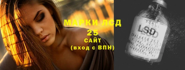 ГАЛЛЮЦИНОГЕННЫЕ ГРИБЫ Алзамай