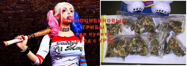 ГАЛЛЮЦИНОГЕННЫЕ ГРИБЫ Алзамай