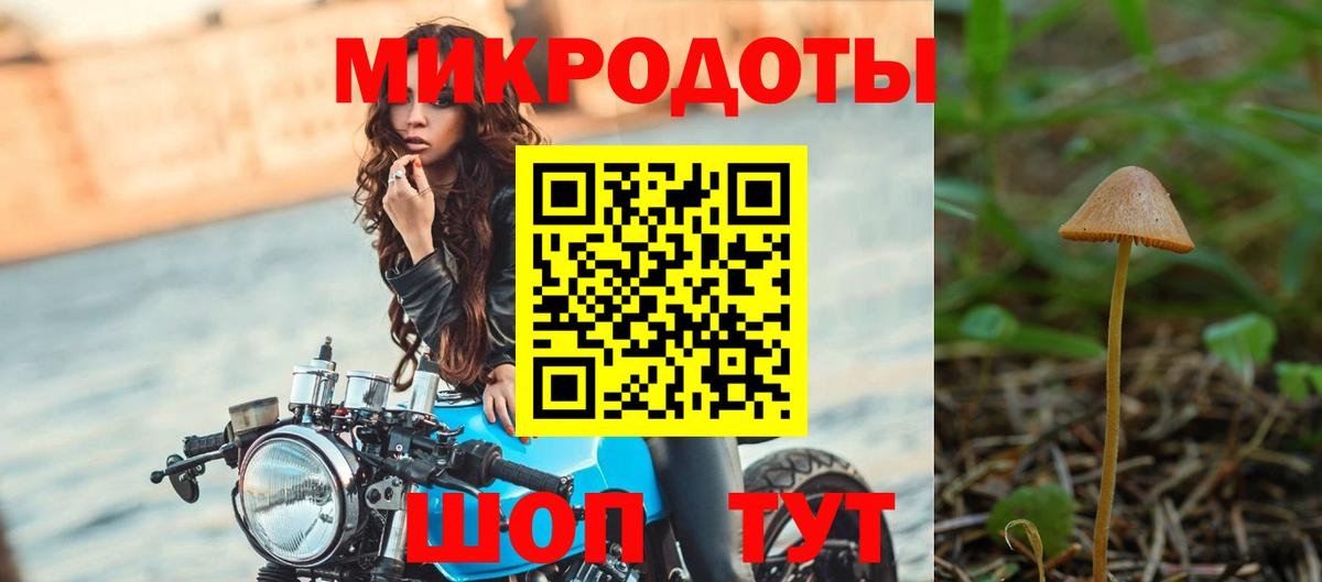 Ахтубинск  Псилоцибиновые грибы Psilocybine cubensis  Вход с VPN  Галлюциногенные грибы прущие грибы 