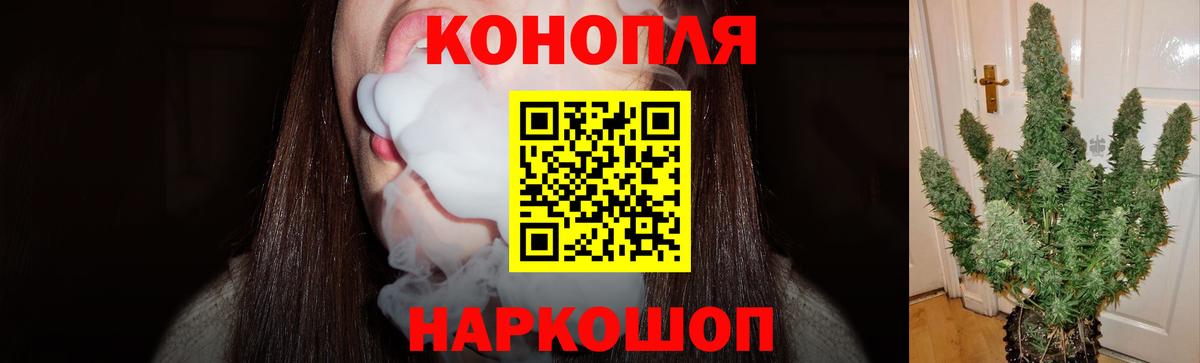 Конопля планчик Ахтубинск